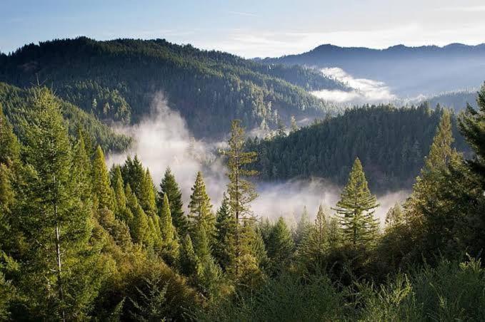 The Nature Dreams I Vacations I Conference I Mice I Family Events I Open Air Terrace I Sky Bonfire I Kufri By Exotic Stays Shimla Buitenkant foto