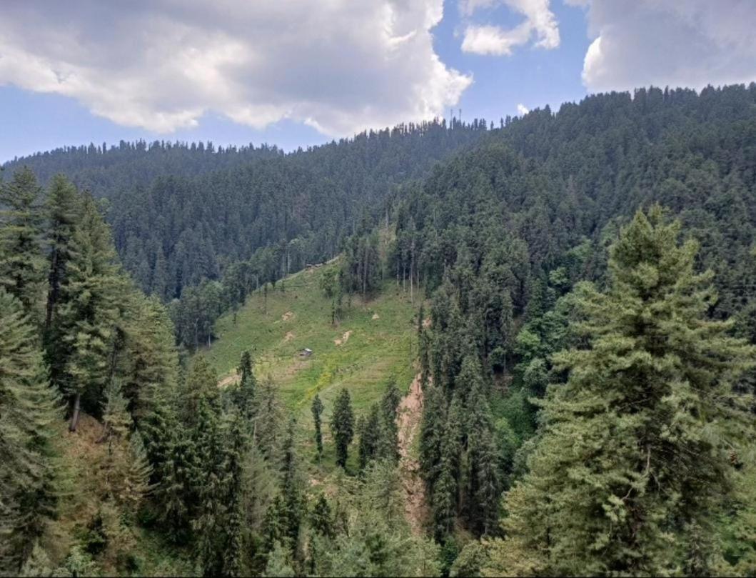 The Nature Dreams I Vacations I Conference I Mice I Family Events I Open Air Terrace I Sky Bonfire I Kufri By Exotic Stays Shimla Buitenkant foto