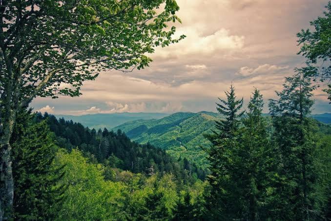 The Nature Dreams I Vacations I Conference I Mice I Family Events I Open Air Terrace I Sky Bonfire I Kufri By Exotic Stays Shimla Buitenkant foto
